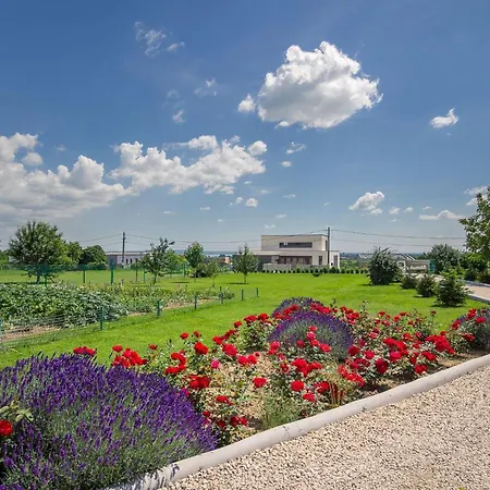 Auf Grossem Gartengrundstueck By Interhome Cserszegtomaj