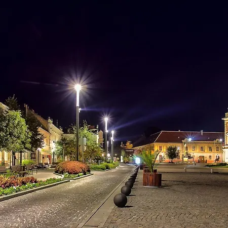 Apartament Auf Grossem Gartengrundstueck By Interhome