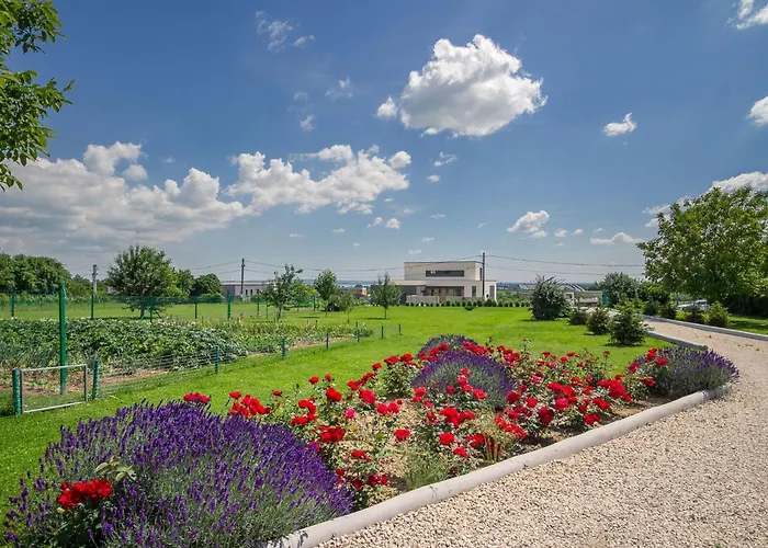 Auf Grossem Gartengrundstueck By Interhome Cserszegtomaj