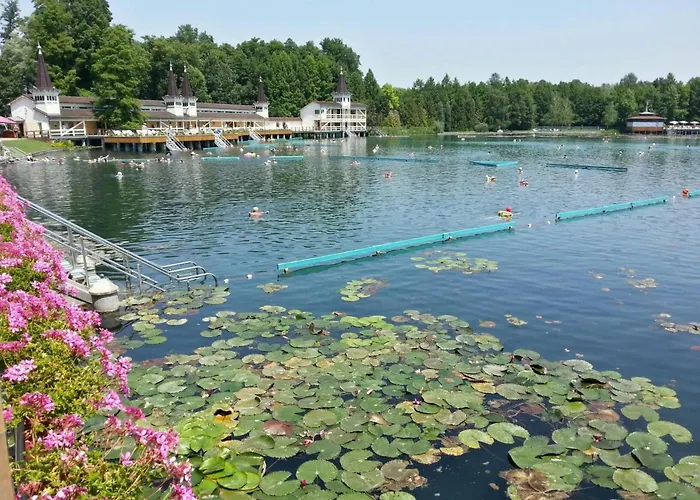 Lejlighed Auf Grossem Gartengrundstueck By Interhome Cserszegtomaj